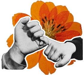 Comunidad