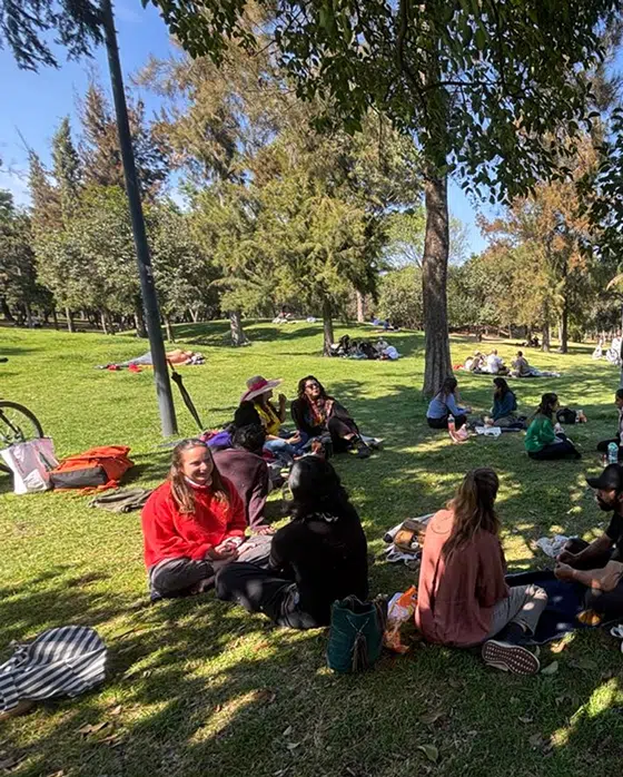 Libertad para construir vínculos